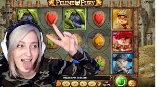 Feline Fury max win video 2