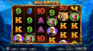 Big Brown demo play free 1