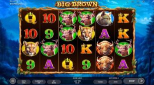 Big Brown demo play free 3