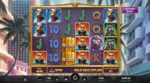 Buffalo Blow demo play free 1