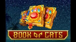 Book Of Cats max win video 1