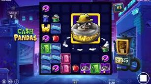 Cash Pandas max win video 2