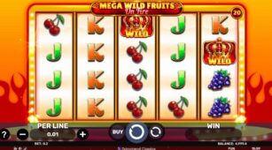 Mega Wild Fruits – On Fire demo play free 2
