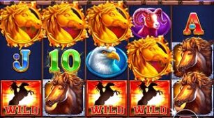 Mustang Trail max win video 0