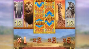 Safari Wilds demo play free 0