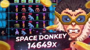 Space Donkey max win video 1