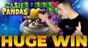 Cash Pandas max win video 0