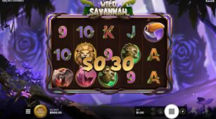 Wild Savannah demo play free 1