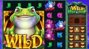 Wild Hop & Drop max win video 2