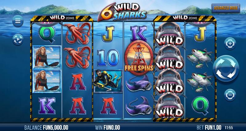 6 Wild Sharks