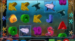 Wild Dolphins demo play free 0