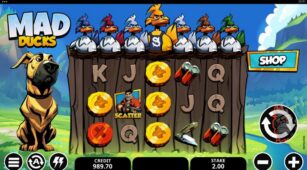 Mad Ducks demo play free 1