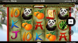 Tuan Yuan Panda demo play free 2