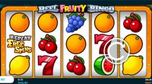 Reel Fruity Bingo demo play free 0