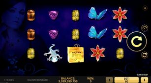 Magnificent Jewels demo play free 3