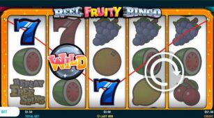Reel Fruity Bingo demo play free 3
